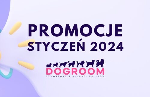 Promocje – Styczeń 2024