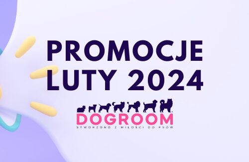 Promocje – Luty 2024