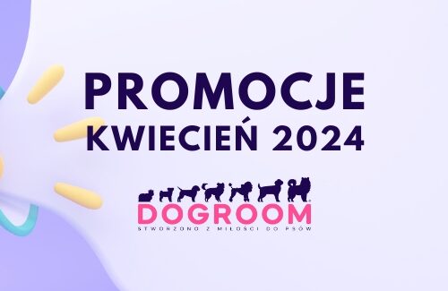 Promocje – Kwiecień 2024