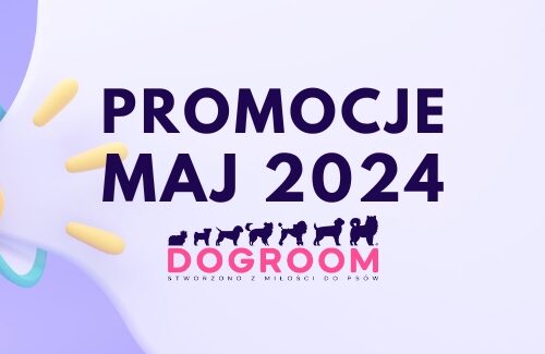 Promocje – Maj 2024