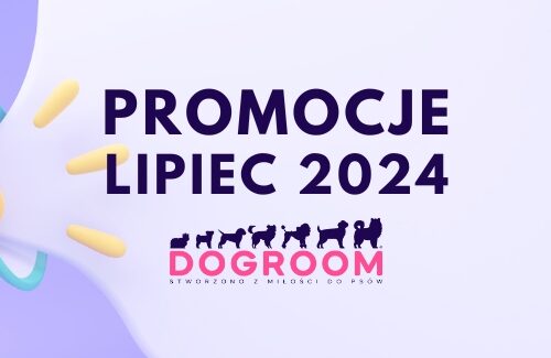Promocje – Lipiec 2024