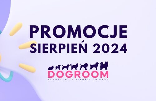 Promocje – Sierpień 2024