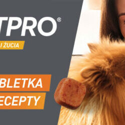 FRONTPRO® – Tabletka na pchły i kleszcze bez recepty