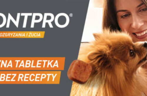 FRONTPRO® – Tabletka na pchły i kleszcze bez recepty