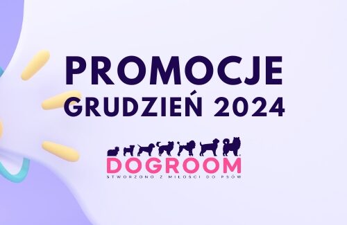 Promocje – Grudzień 2024